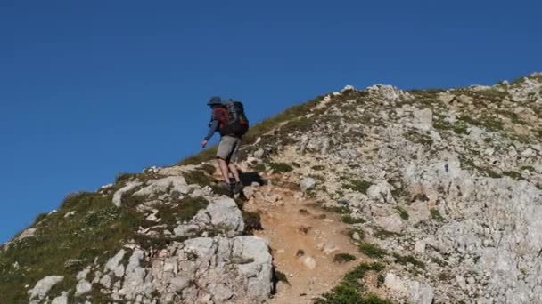 Ένας Άντρας Σακίδιο Περπατάει Στην Πλαγιά Του Βουνού Έννοια Της — Αρχείο Βίντεο