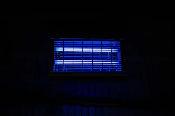 Ultraviolet lamp in the food processing room. The concept of cleanliness and hygiene. The lamp\'s blue light kills bacteria