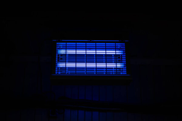 Ультрафиолетовая лампа в пищевой комнате. Понятие чистоты и гигиены. Синий свет лампы убивает бактерии.