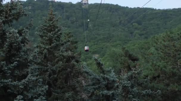 Stará Červená Lanovka Pohybuje Dolů Pozadí Obrovských Jedlí Zeleného Lesa — Stock video