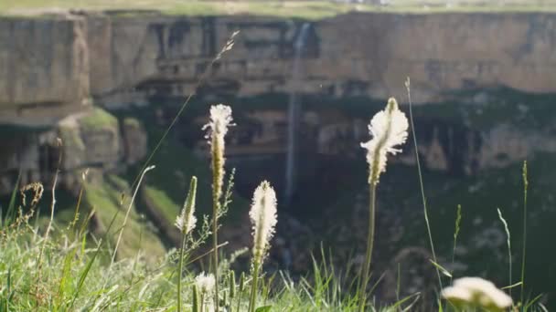 Grass Swaying Background Canyon Waterfall Selective Focus Republic Dagestan Russia — Stock Video