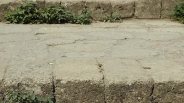 Taş basamaklar ve bir ortaçağ şatosunun taş kale duvarları. Tarihi yerlere bir yolculuk. Yurtiçi turizm kavramı