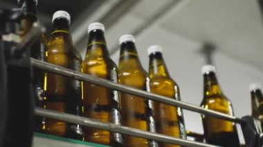 Kahverengi cam su şişeleri taşıyıcı boyunca hareket ediyor. Alt manzara. Maden suyu ve meşrubat üretimi için alışveriş.