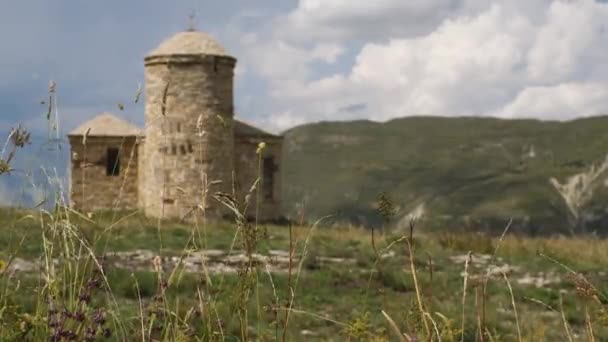 Das Gras Bewegt Sich Wind Vor Dem Hintergrund Des Steinernen — Stockvideo