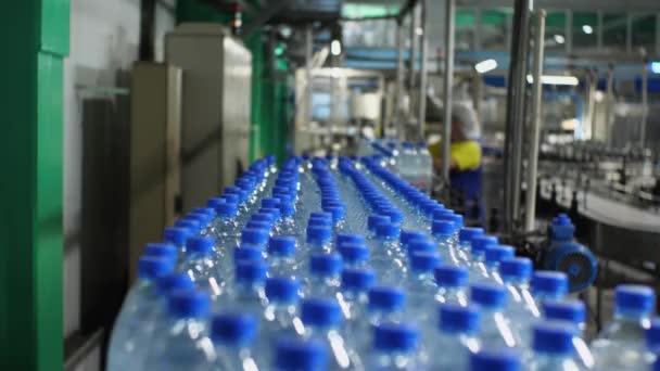 Goryachy Klyuch Krasnodar Krai Russia Juin 2021 Bottiglie Plastica Con — Video Stock
