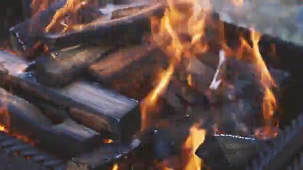 에다잘게썬 장작을 태운다 클로즈업 뒷마당에서 조리하는 — 비디오