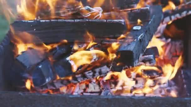 Уповільнення Руху Деревини Горить Мангалі Вогнепальне Спалювання Деревини Багатті Готуємо — стокове відео