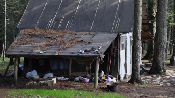 Una Capanna Legno Nel Bosco Tra Gli Abeti Tetto Coperto — Video Stock