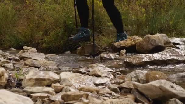 岩の上のストリームを横断する女性ハイカーの足のクローズアップ 背景には緑の草が見える ハイキングの概念 — ストック動画