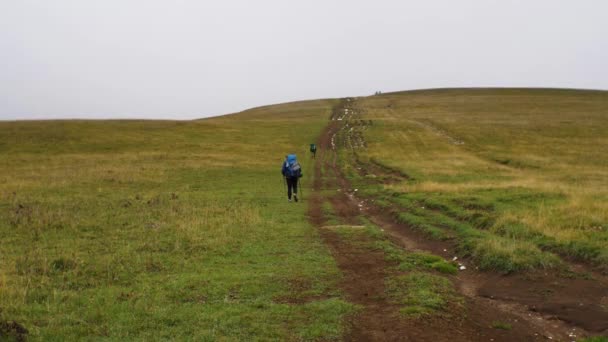 Πεζοπόροι Σακίδια Ανεβαίνουν Λόφο Καλυμμένο Γρασίδι Άνθρωποι Περπατούν Στο Χωματόδρομο — Αρχείο Βίντεο
