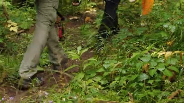 Fotvandrarnas Ben Går Längs Skogsstig Bakgrunden Finns Gröna Blad Och — Stockvideo