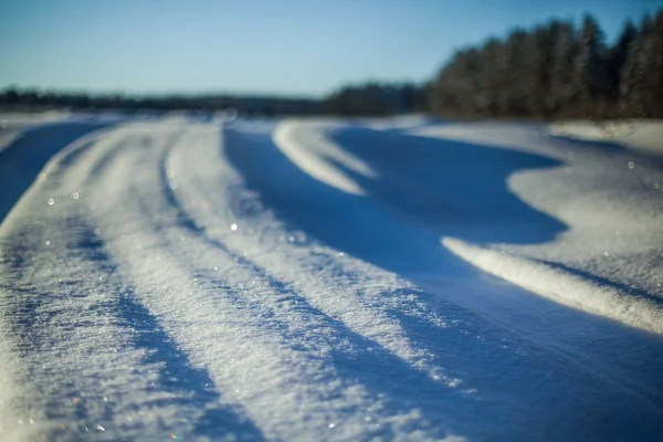 The road to the fairy forest — Stock Photo, Image