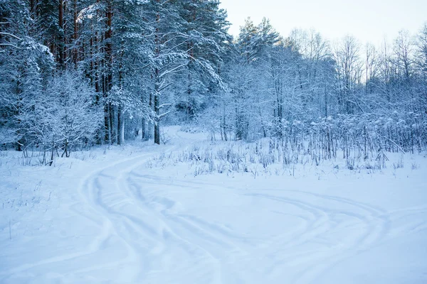 Winter road — Stock Photo, Image