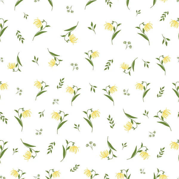 Floral Seamless Pattern με Vector Ylang Ylang ή Cananga Λουλούδια υποκαταστήματα, Buds και φύλλα. Γραφική εκτύπωση για τη συσκευασία προϊόντων που σχετίζονται με την Αρωματοποιία, τα σαπούνια, τα καλλυντικά, τα αιθέρια έλαια αρωματοθεραπείας — Διανυσματικό Αρχείο