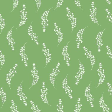 Yeşil Arkaplanda Thyme Sprigs ile Kusursuz Desen.
