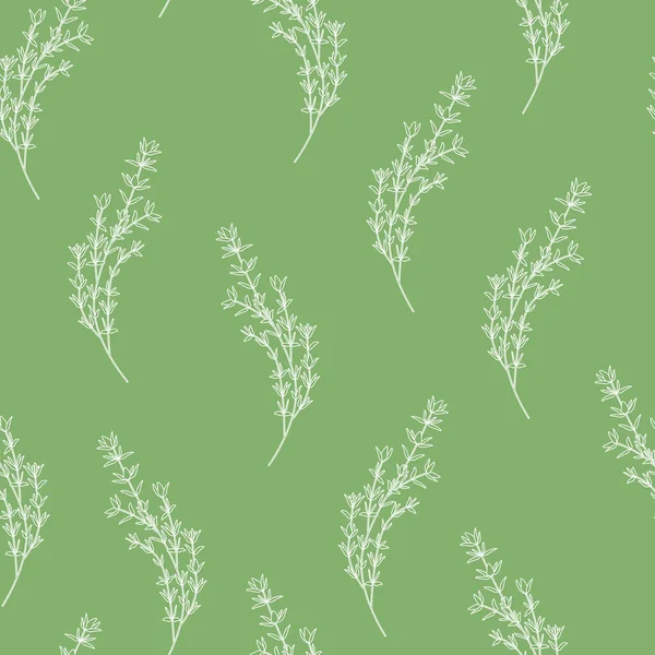 Απρόσκοπτη μοτίβο με θυμάρι Sprigs σε πράσινο φόντο. — Διανυσματικό Αρχείο