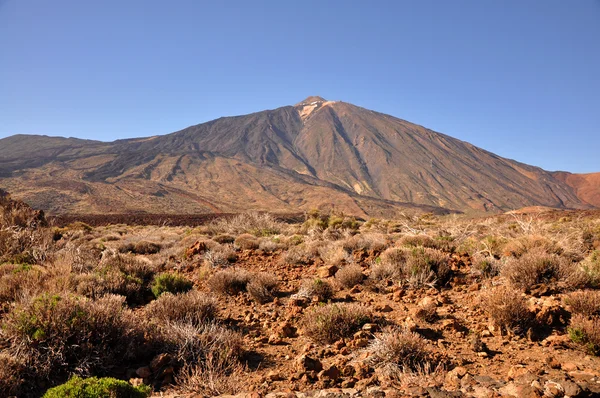 Veduta del vulcano Teide — Foto Stock