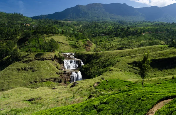 Nuwara Eliya, Sri Lanka Falls'ta St. Clair