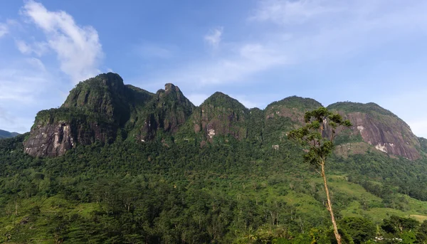 Yedi bakire tepe dağ silsilesi, Maskeliya, Sri Lanka
