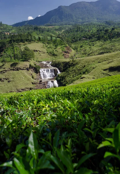 St. Clair Falls, Sri Lanka