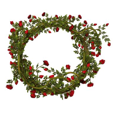 kırmızı gül ile çerçeve