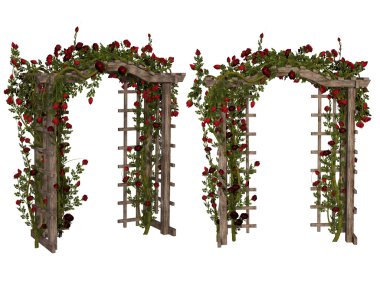 Kırmızı Güllü romantik ağaç dikme
