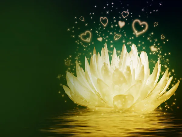 Magical lotus flower — Stock Photo, Image