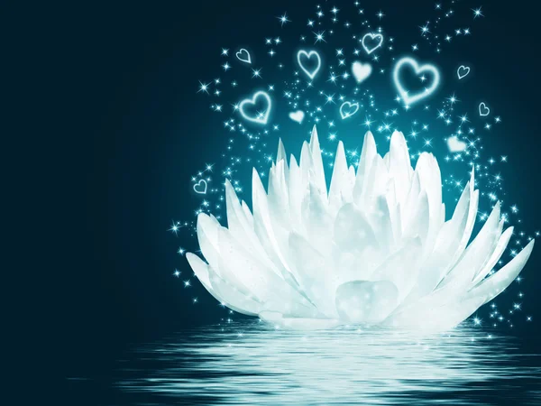Magical lotus flower — Stock Photo, Image