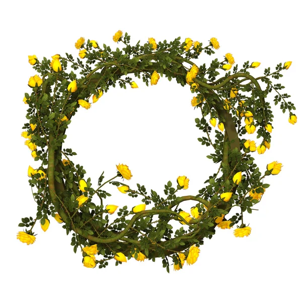 Frame with yellow roses