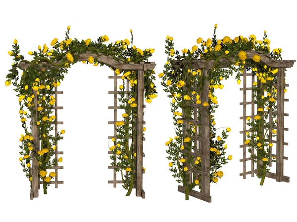 Romantic arbor with  yellow roses — Stock Photo, Image