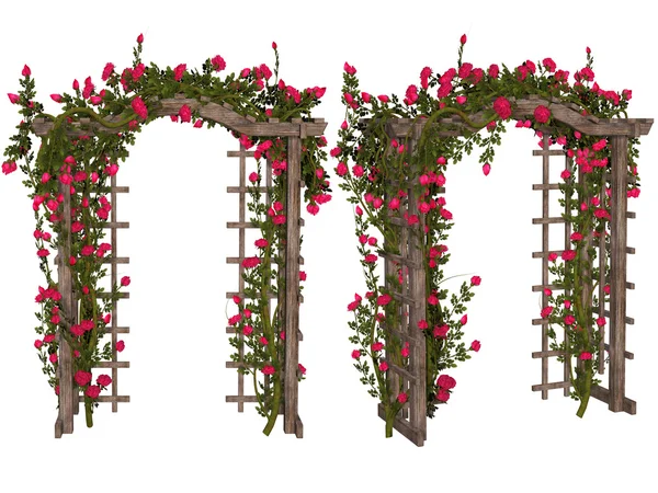 Romantic arbor with  pink  roses — Stock Photo, Image