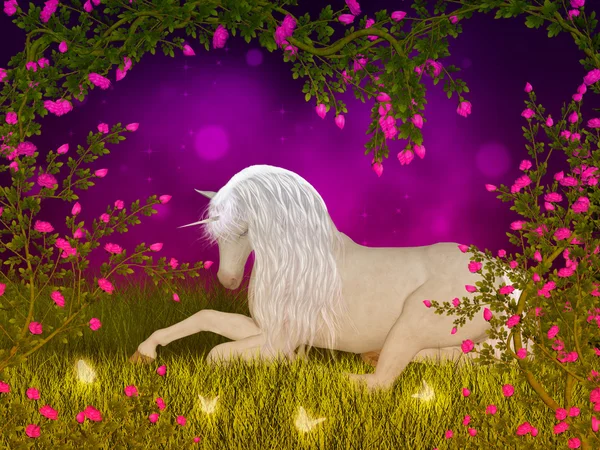 Unicorn — Stock Photo, Image