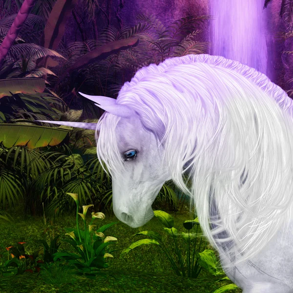 Unicorn — Stock Photo, Image