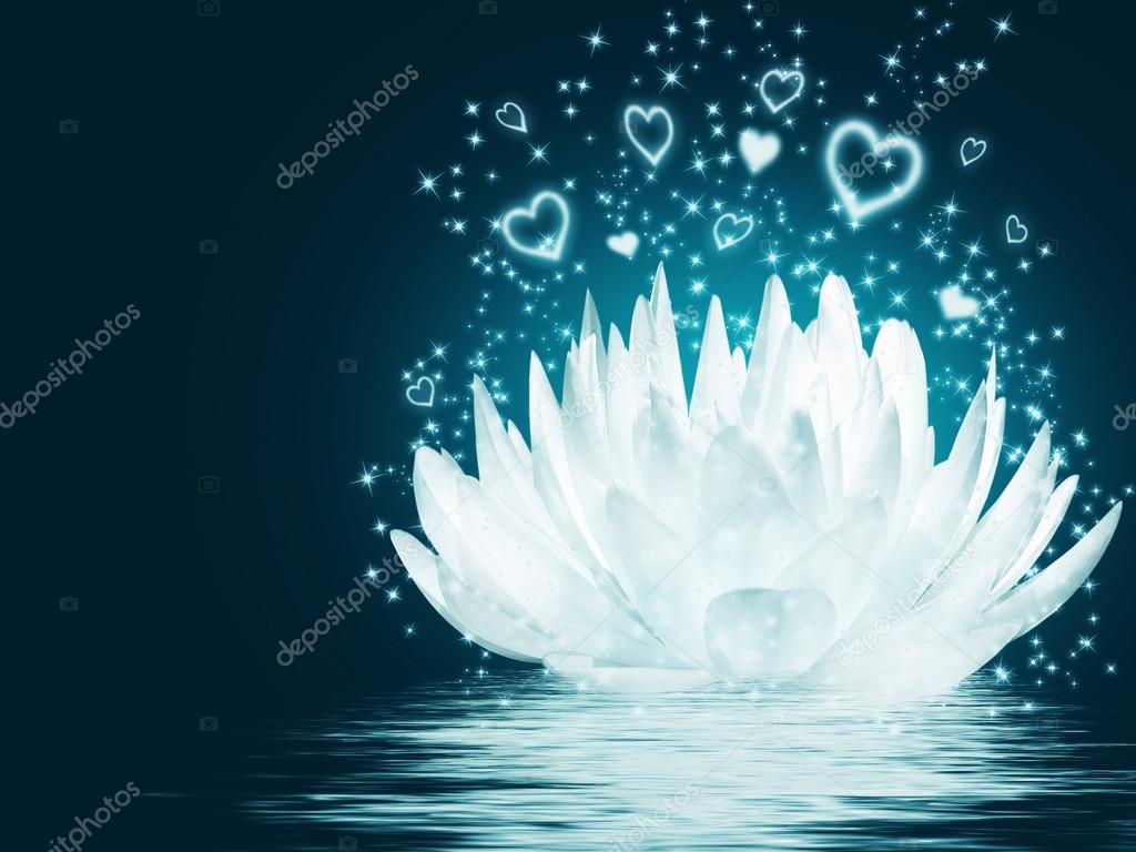 Magical lotus flower