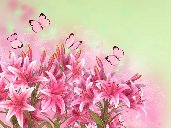 Floral background with lilies and butterflies — Stock Photo, Image