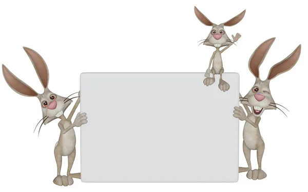 Happy Easter bunnies holding a blank placard — Stock Photo, Image