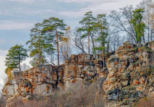 .   Dağın tepesindeki çamlar