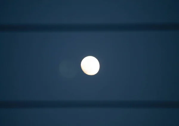 Kışın şehirde sabah ayı