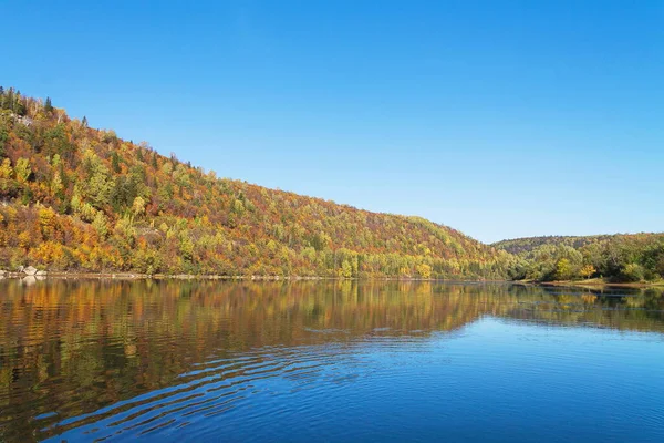 Nehirde güneşli bir sonbahar günü Renkli bir ormanın arka planına karşı