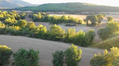 Bir tarım arazisi ve bir tarım traktörünün havadan görünüşü. Ayegui, Navarre, İspanya, Avrupa. 4K