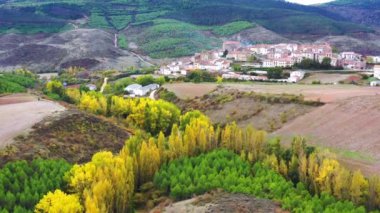 Sonbaharda ve köyde kavak ağaçlarının havadan görünüşü. Torralba del Rio. Navarre, İspanya, Avrupa. 4K.
