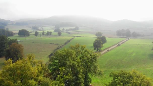 Árboles Pastizales Vista Aérea Álava País Vasco España Europa — Vídeos de Stock