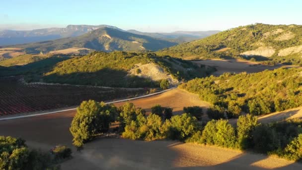 Campos Agrícolas Vista Aérea Arboleda Ayegui Navarra España Europa — Vídeos de Stock