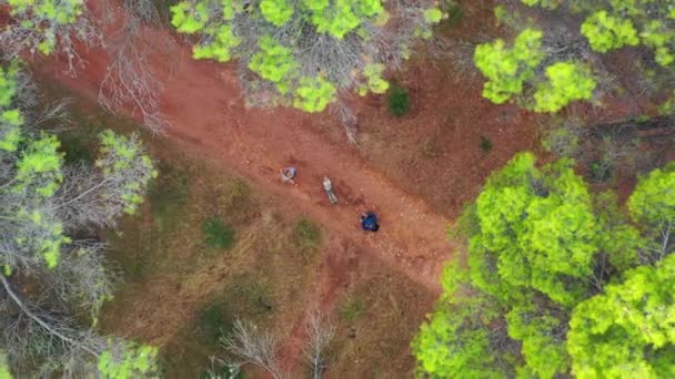 松林の中のパス内の人々の空中ビュー 空中展望 Ayegui Navarra スペイン ヨーロッパ — ストック動画