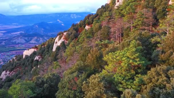 Vista Aérea Bosque Robles Una Ladera Montaña Montejurra Navarra España — Vídeo de stock