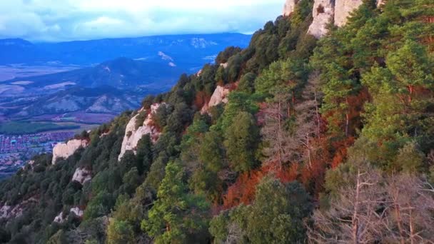 Вид Воздуха Дубовый Лес Склоне Холма Гора Монтеджурра Наварра Испания — стоковое видео