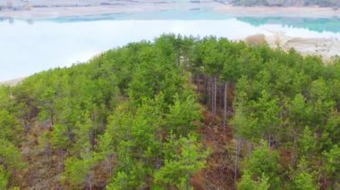 Pine Grove ve Alloz rezervuarı. Hava görüntüsü. Navarre, İspanya, Avrupa. 4K.