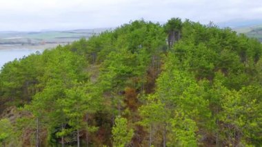 Pine Grove ve Alloz rezervuarı. Hava görüntüsü. Navarre, İspanya, Avrupa. 4K.