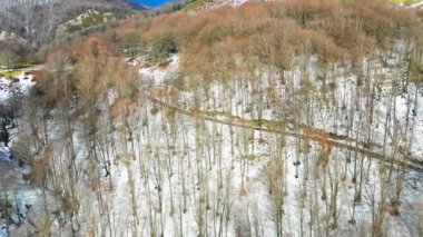 Kışın Beechwood Ormanı ve dağ yamacı. Hava görüntüsü. Ulzama, Navarre, İspanya, Avrupa. 4K.