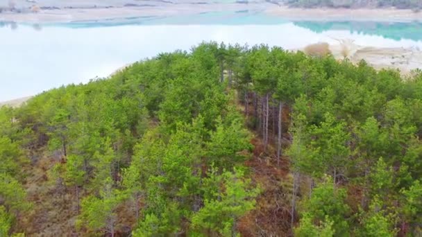 Pinhal Reservatório Alloz Vista Aérea Navarra Espanha Europa — Vídeo de Stock